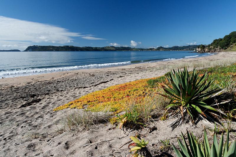 2007 04 24 Coromandel Peninsula 002_DXO.jpg